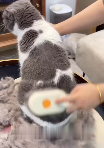 Pet Spa Brush